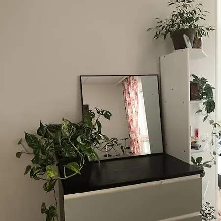 アパート King's Oak Jungle