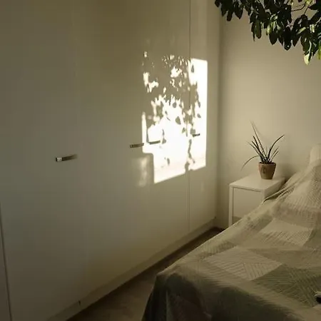 Apartment King's Oak Jungle *
