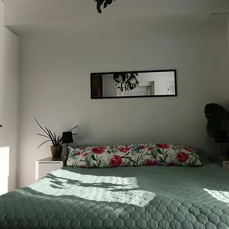 Apartamento King's Oak Jungle *