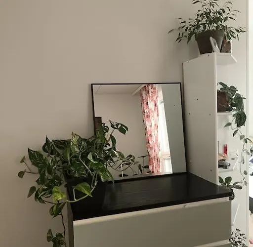 Апартаменты King's Oak Jungle